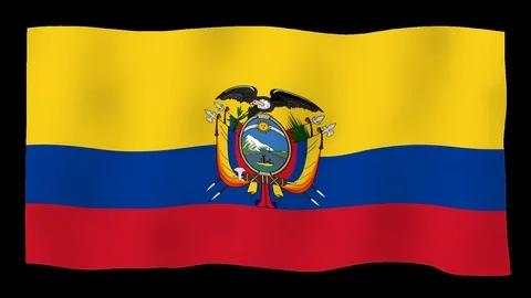 Flag of Ecuador, 60 fps, slow motion, lopped, alpha channel Stock Footage 100589733