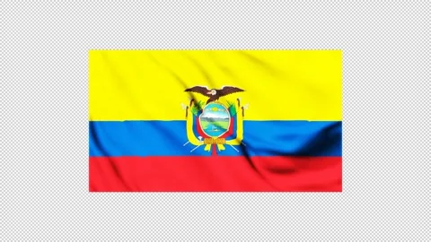 Flag of Ecuador fluttering in the wind Stock Footage 310222272