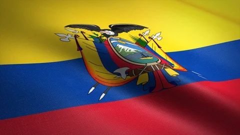 Flag of Ecuador. Waving flag with highly detailed fabric texture seamless Stock Footage 121633823