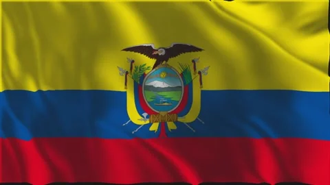 Flag of Ecuador waving slowly Stock-Footage 336265139