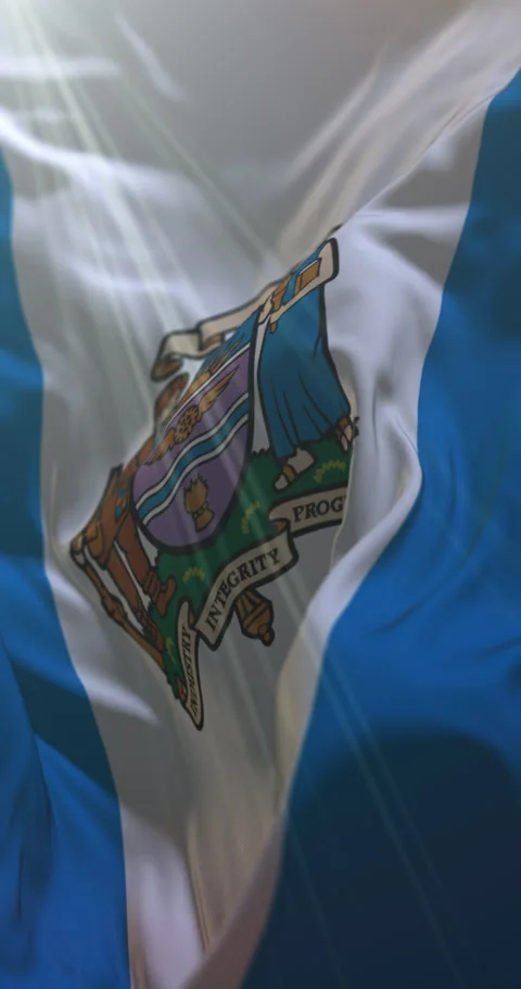 Flag of Edmonton, Alberta, Canada. 4K Vertical. Loop Stock Footage 311111009