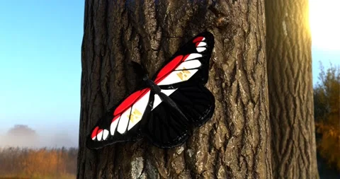 Flag of Egypt on Butterfly Wings Realistic 4K UHD 60FPS Video stock 148501529