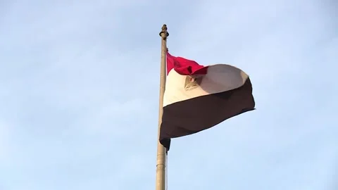 Flag of Egypt Stock-Footage 246877803
