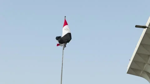 Flag of Egypt Stock Footage 269437435