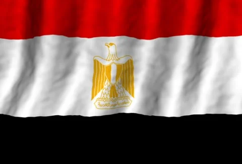 The flag of Egypt Stock Footage 291754727