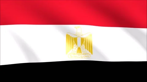 Flag of Egypt with gold embossed Stock Footage 65147971