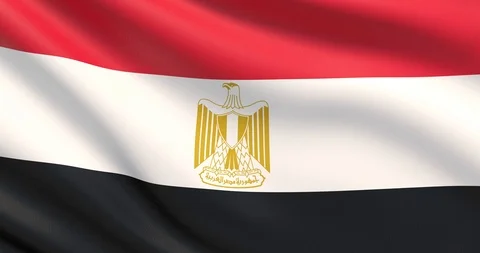 The flag of Egypt. Waved highly detailed fabric texture. Stock Footage 102577512