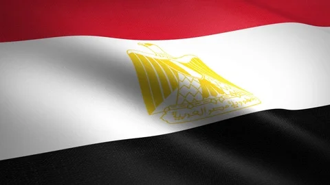Flag of Egypt. Waving flag with highly detailed fabric texture seamless loopable Stock-Footage 120809107