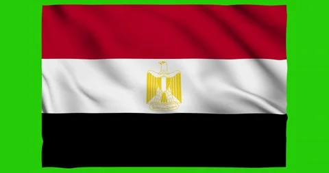 Flag of Egypt waving on a samless loop over an easily removable background 스톡 동영상 98371423