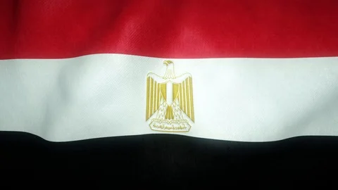 Flag of egypt waving in the wind Stock-Footage 125828193