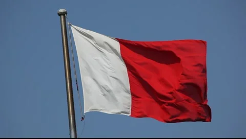 Flag of the Emirate of Dubai 库存影片 6531968