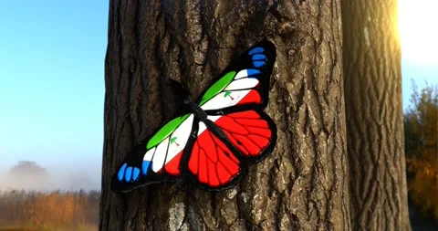 Flag of Equatorial Guinea on Butterfly Wings Realistic 4K UHD 60FPS Stock Footage 148501560