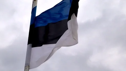 Flag of Estonia against the background of clouds Stock Footage 94449403