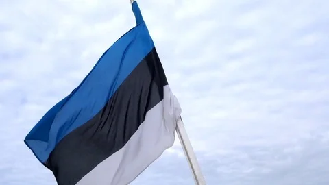 Flag of Estonia against the background of clouds Stock Footage 94449429