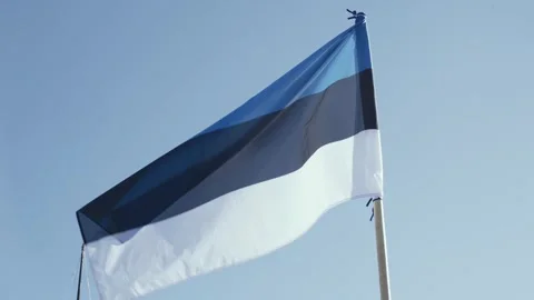 Flag of Estonia, develops against the background of the blue sky. Video stock 250186157