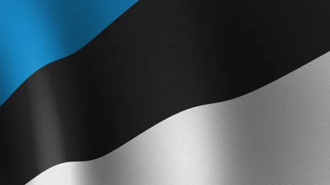 The flag of Estonia is fluttering in the wind. Seamless Animation 3D 库存影片 201005302