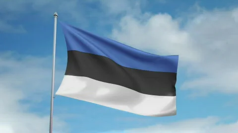 Flag of Estonia 스톡 동영상 435758