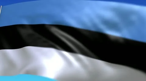 Flag of Estonia Stock Footage 10849503