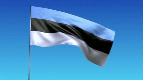 Flag of Estonia Stock Footage 10849509