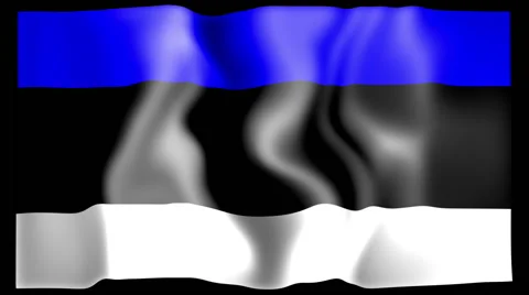 Flag of Estonia Stock Footage 46608576