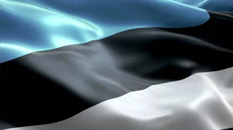 Flag Estonia Video stock 47740310