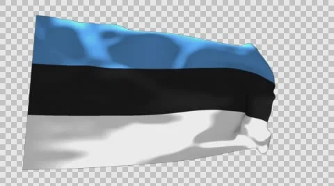 Flag of Estonia Stockbeeldmateriaal 60938482