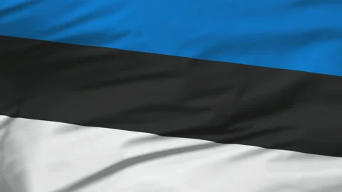 Flag of Estonia Stock Footage 147102343