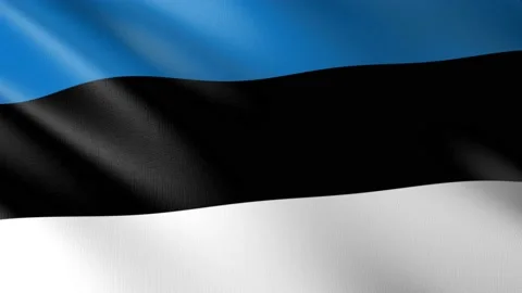 Flag of Estonia Stock Footage 151069868