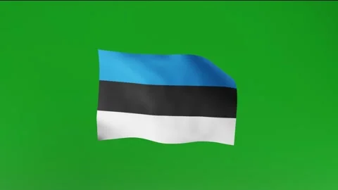 Flag of Estonia  Stock Footage 162025662