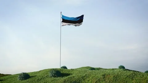 Flag of Estonia Stock-Footage 168113671