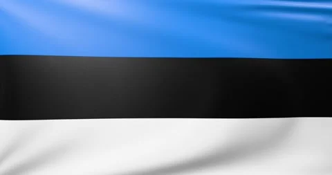 Flag of Estonia Stock Footage 300851089