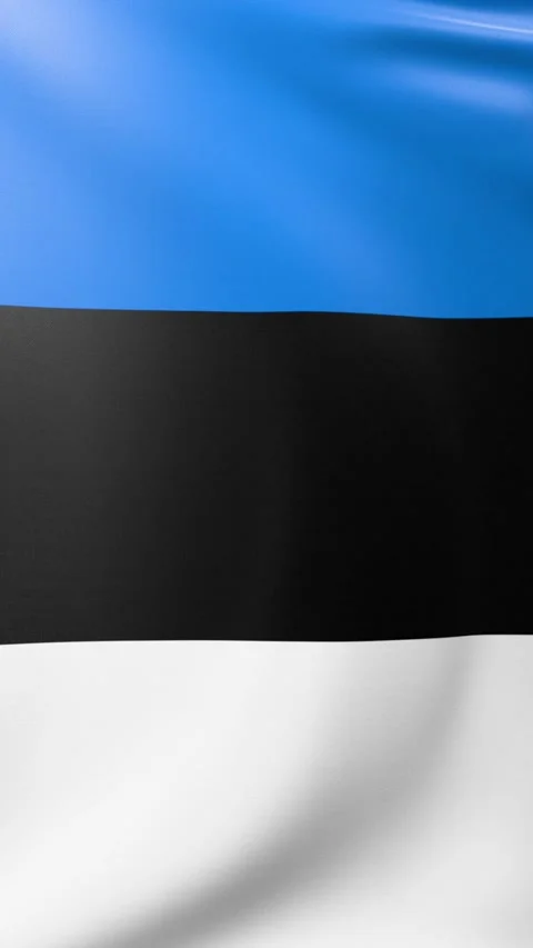 Flag of Estonia Video stock 300853710