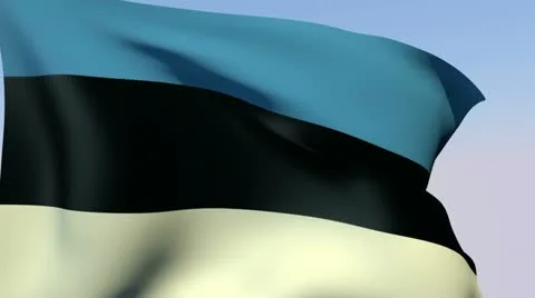 Flag of Estonia HD Stock Footage 14269335