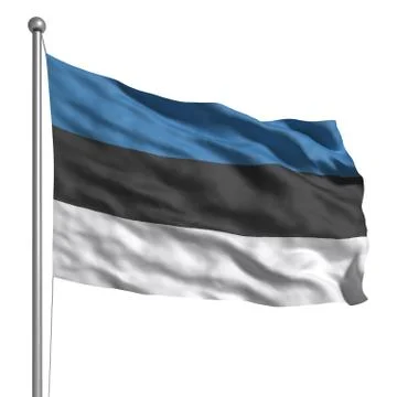 Flag of estonia Stock Illustration