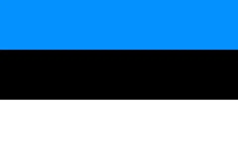 Flag of estonia Stock Illustration