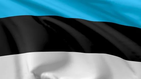 Flag of estonia Stock Illustration