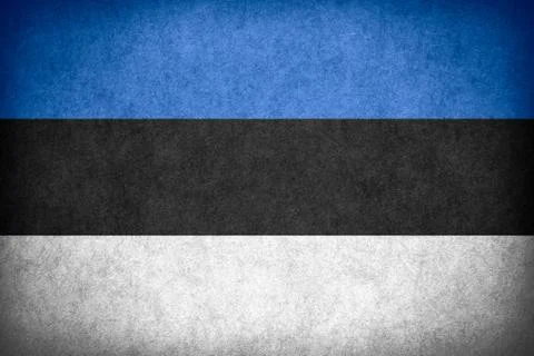Flag of Estonia Illustrazione stock