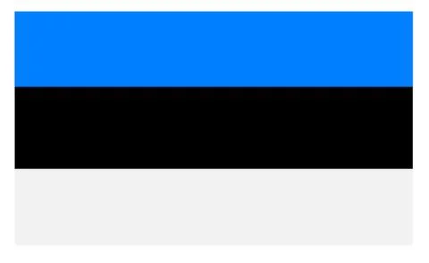 Flag of Estonia Stock Illustration
