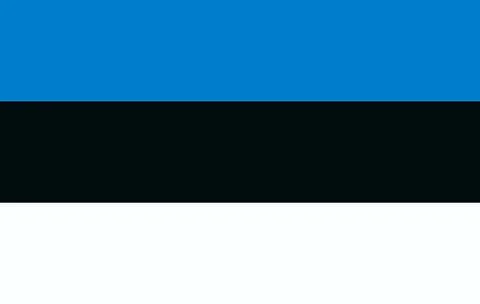 Flag of Estonia Stock Illustration
