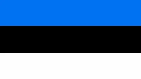 Flag of Estonia. Stock Illustration