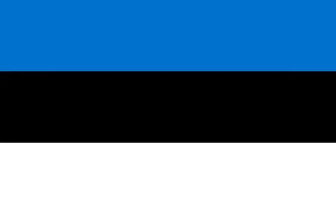 Flag of Estonia Stock Illustration