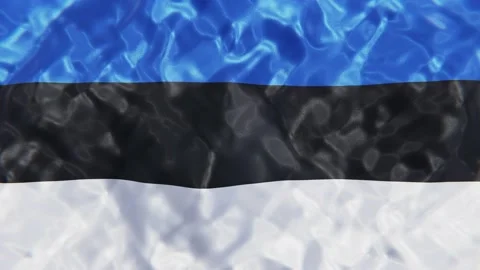 Flag of Estonia looping 3D animation Stock Footage 155252436