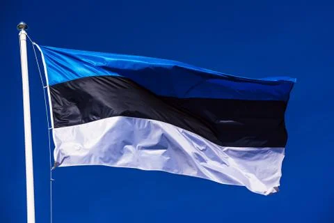 Flag of Estonia Stock-Fotos