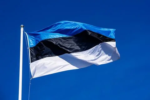 Flag of Estonia Stock-Fotos