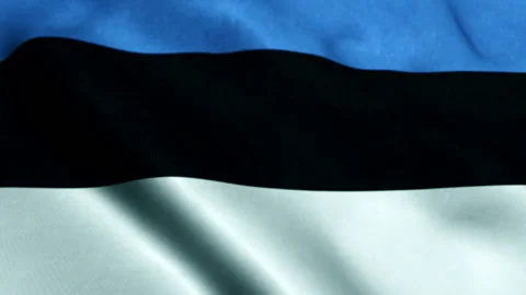 Flag of Estonia - Seamless loop 스톡 동영상 219005181