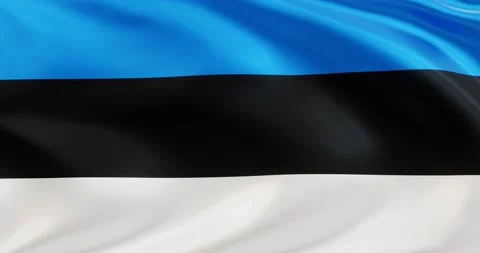Flag of Estonia, Seamless looping animation fluttering in the wind Stock Footage 172494965