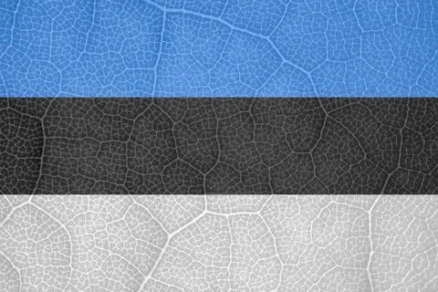 Flag of Estonia on the structure of a tree leaf macro Stock-Fotos