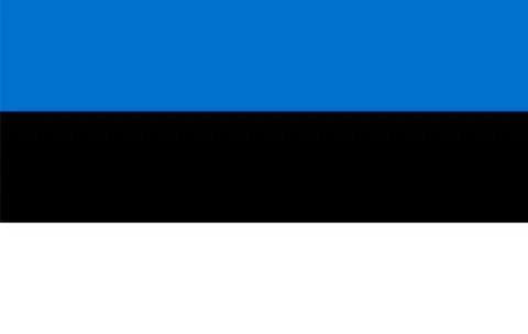 Flag of Estonia. Vector illustration Stock Illustration
