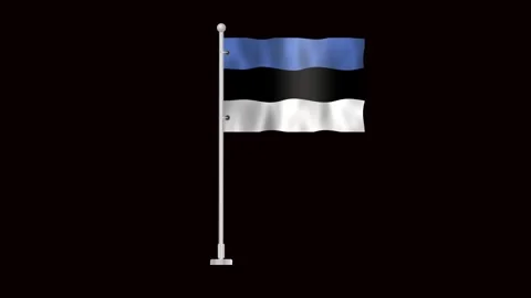 Flag of Estonia waving Stock Footage 320303244