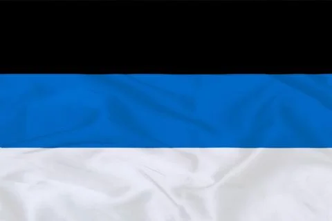 Flag of Estonia Waving Stock Illustration
